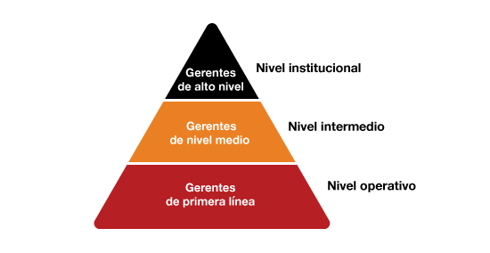 Piramide Niveles De Organizacion